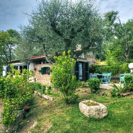 Mirami Saturnia