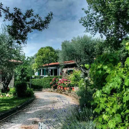 Mirami Bed & Breakfast