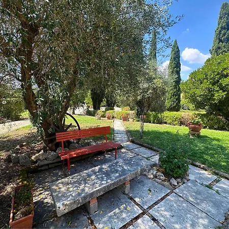 Mirami 4* 萨杜勒尼亚