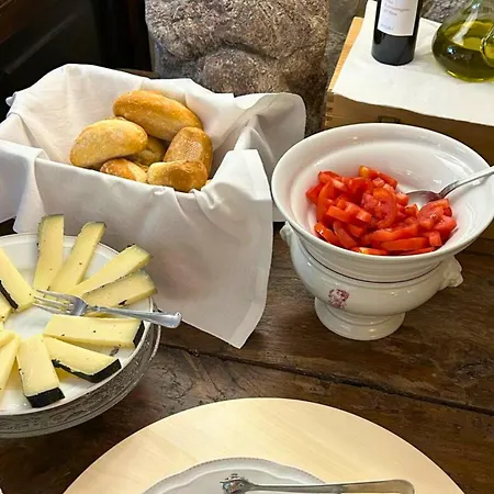 Mirami 萨杜勒尼亚