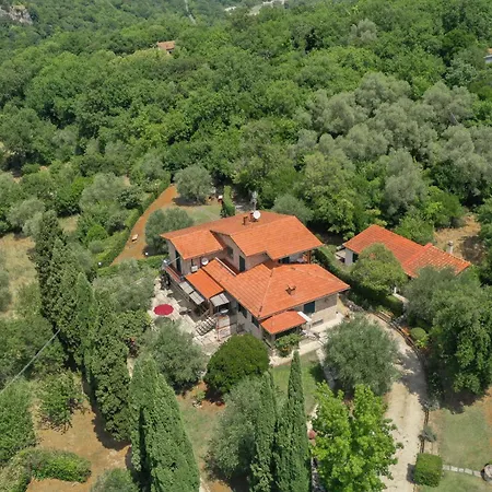 Mirami 萨杜勒尼亚