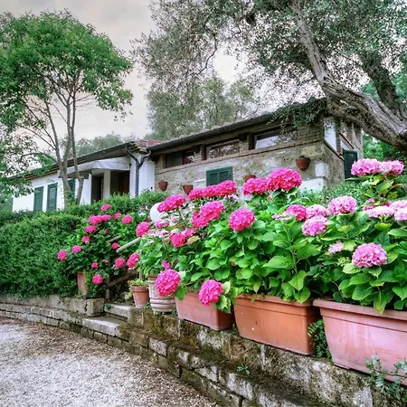 Mirami 萨杜勒尼亚